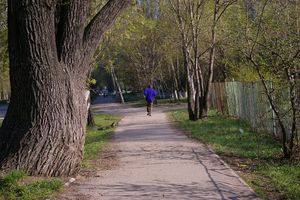Беговая аллея
